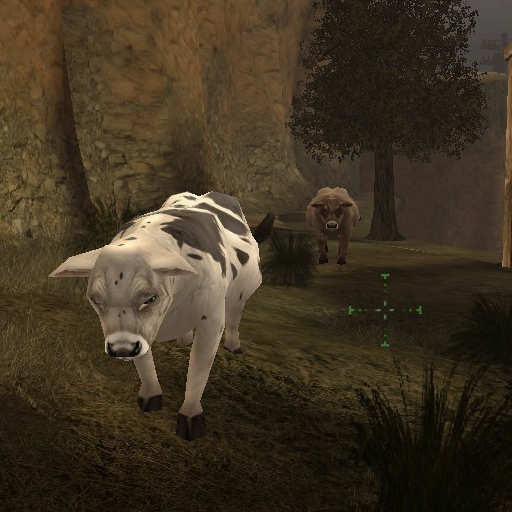 Mad Cow Disease