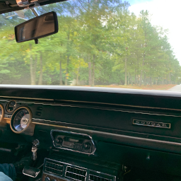 Riding Shotgun